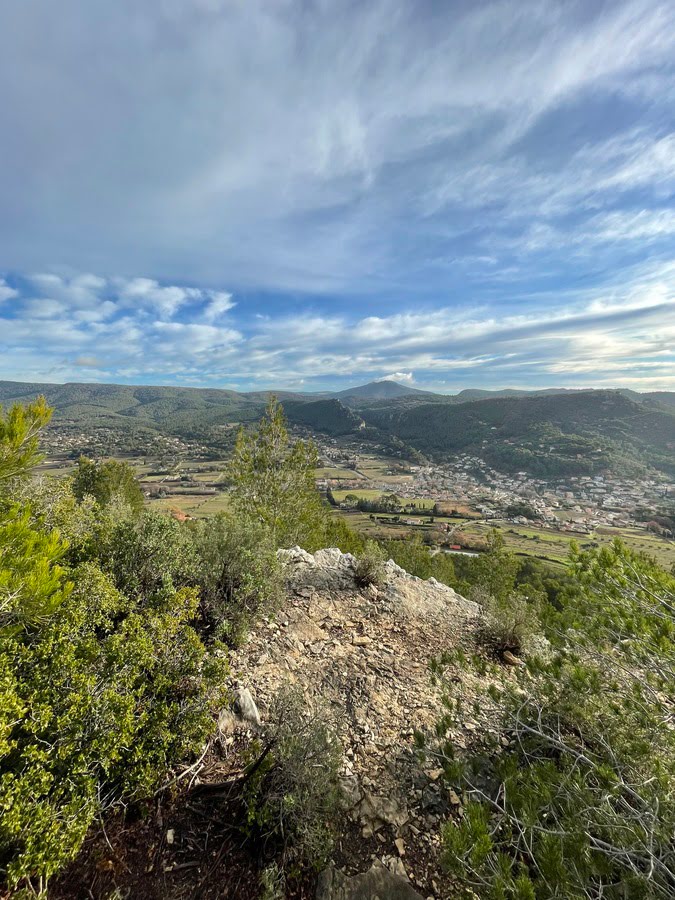 gros-cerveau-mont-caume-var-igp-vin